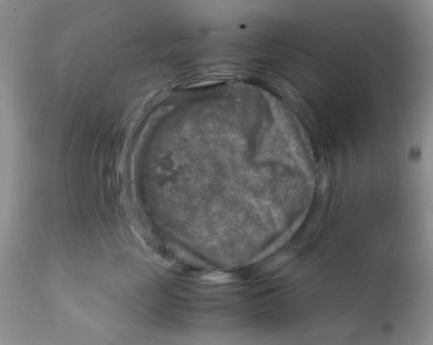 X0000111900669200908171240