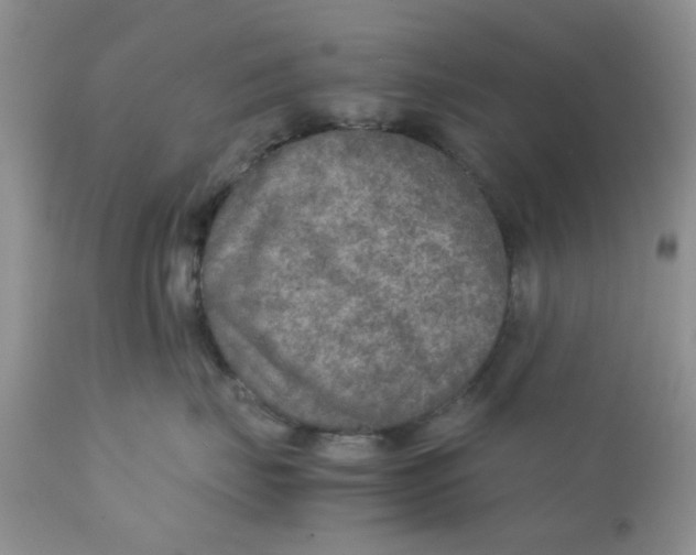 X0000111900671200908171240