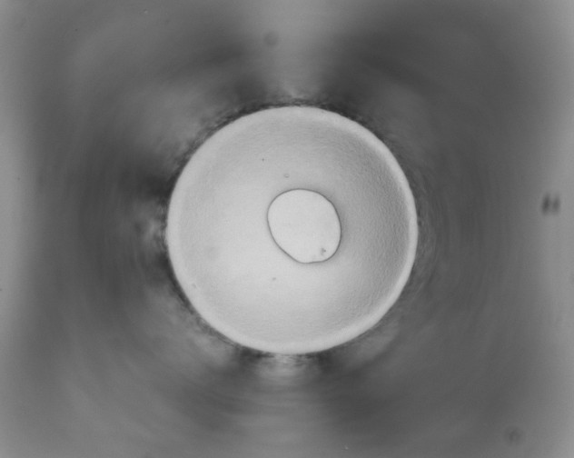 X0000111900672200908171240