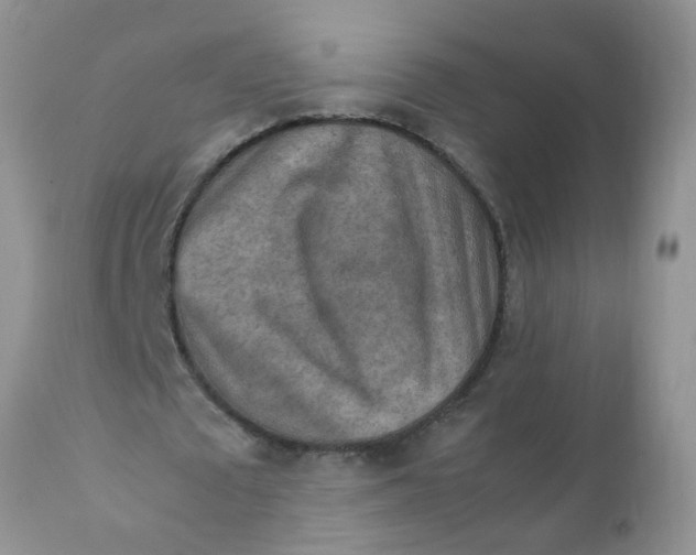 X0000111900673200908171239