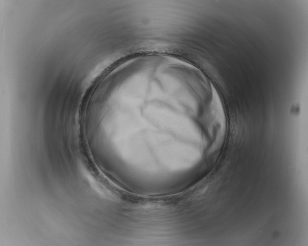 X0000111900674200908171239