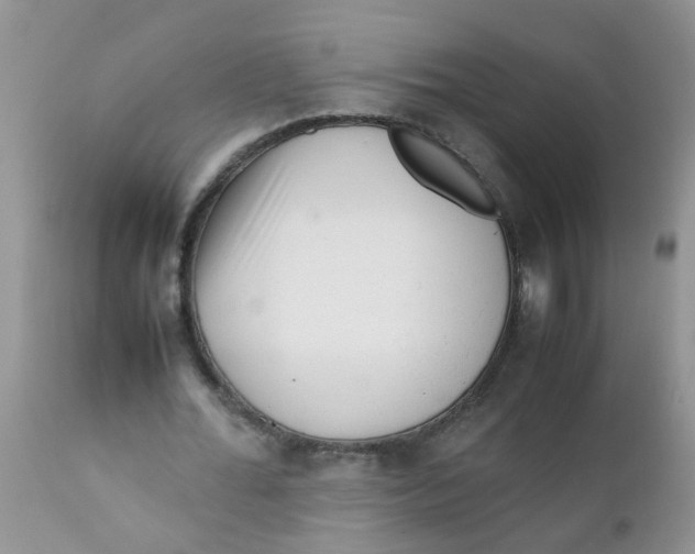 X0000111900676200908171239