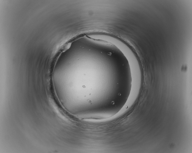 X0000111900677200908171239