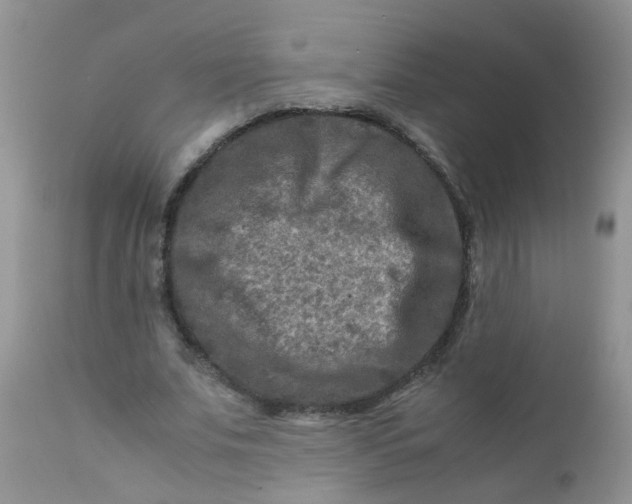 X0000111900679200908171239