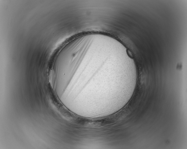 X0000111900680200908171239