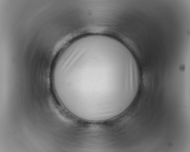 X0000111900682200908171239