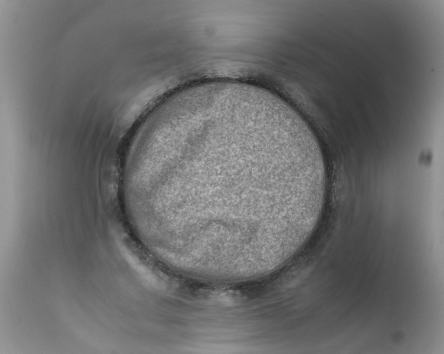 X0000111900683200908171239