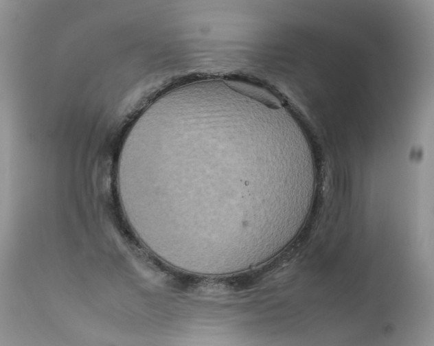 X0000111900685200908171239