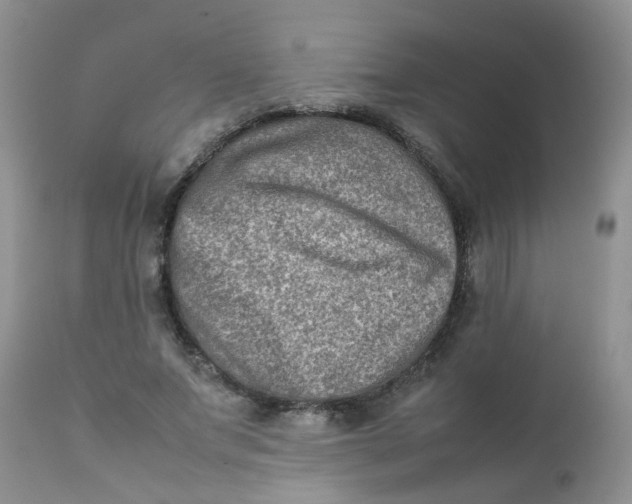 X0000111900687200908171239