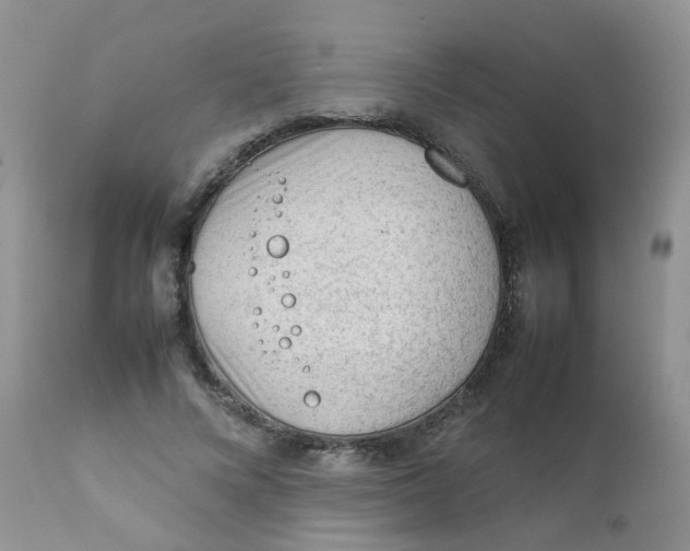 X0000111900688200908171239