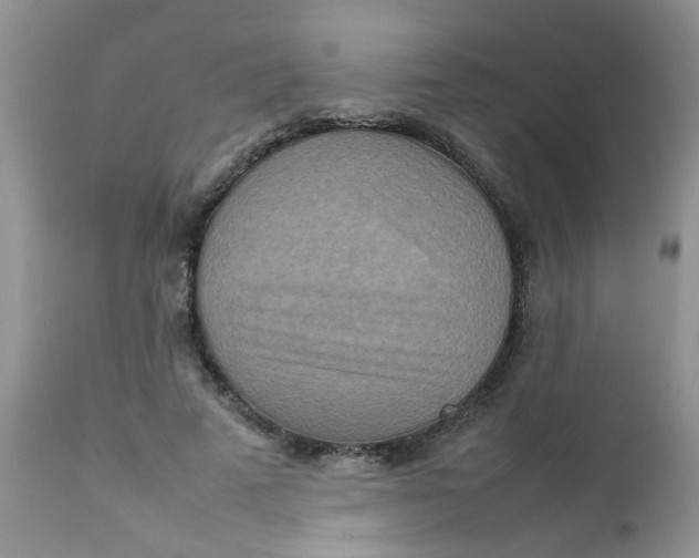 X0000111900689200908171239