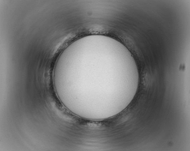 X0000111900690200908171239