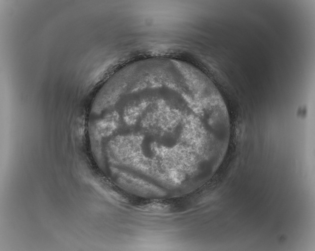 X0000111900691200908171239