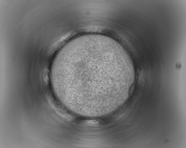 X0000111900692200908171239