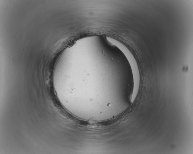 X0000111900693200908171239