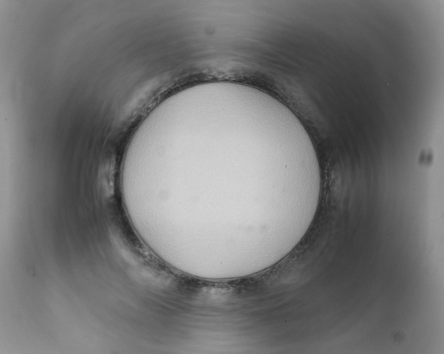 X0000111900694200908171239