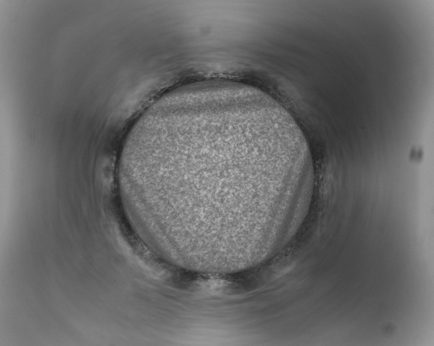 X0000111900695200908171239