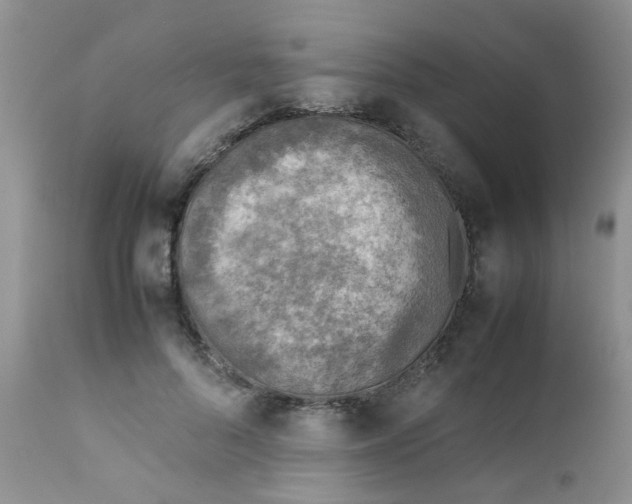 X0000111900696200908171239