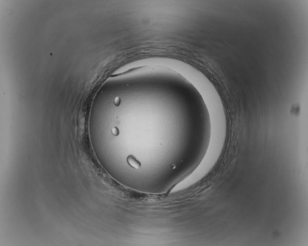 X0000111900697200908171239