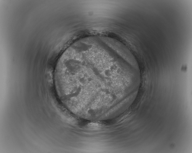 X0000111900699200908171239