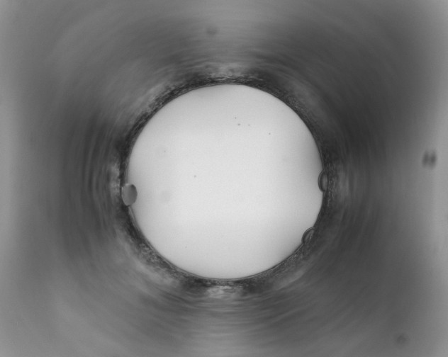 X0000111900700200908171239