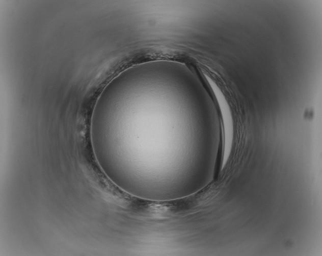 X0000111900701200908171239