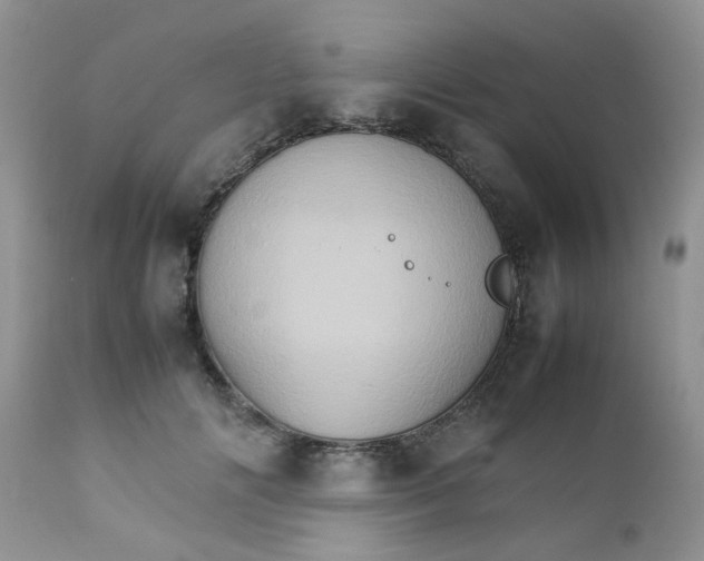 X0000111900702200908171239