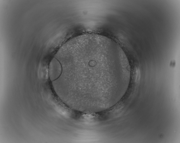 X0000111900703200908171239