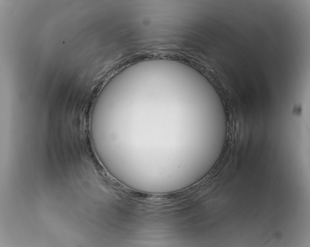 X0000111900704200908171239