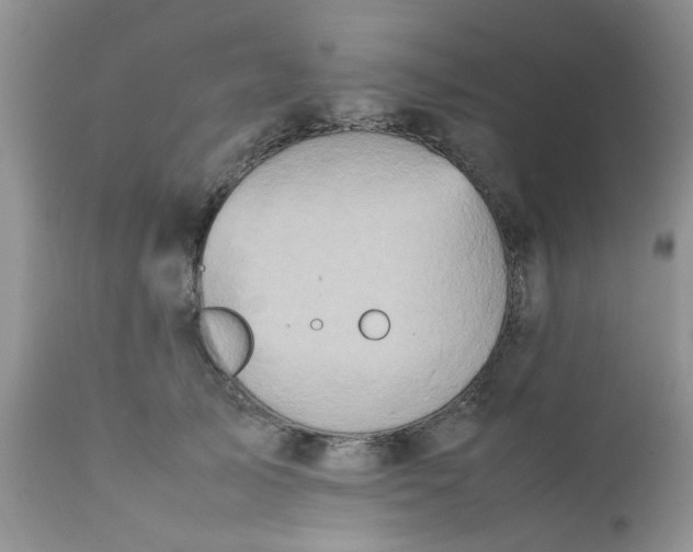 X0000111900705200908171239