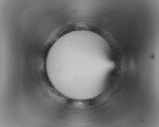 X0000111900706200908171239