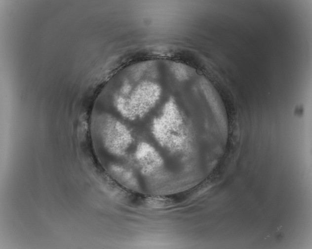 X0000111900707200908171239