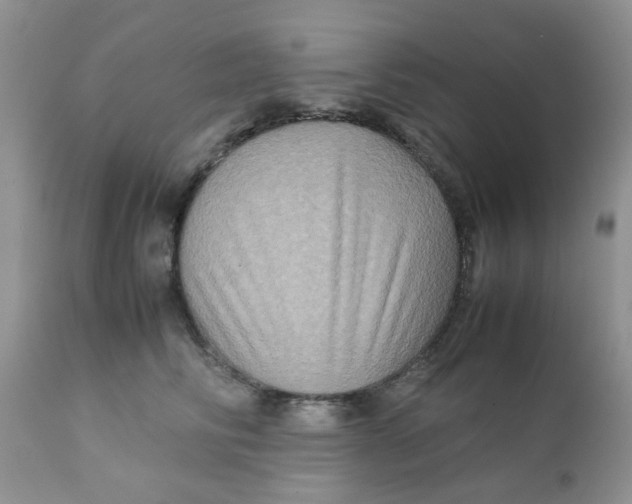 X0000111900710200908171239