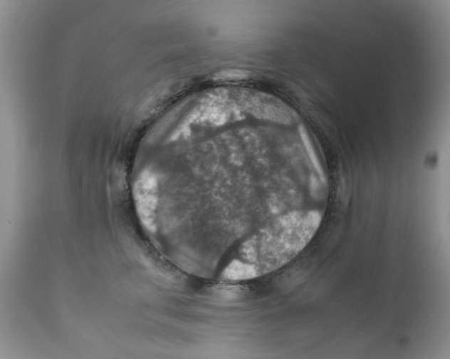 X0000111900711200908171239