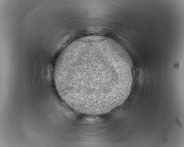 X0000111900712200908171239