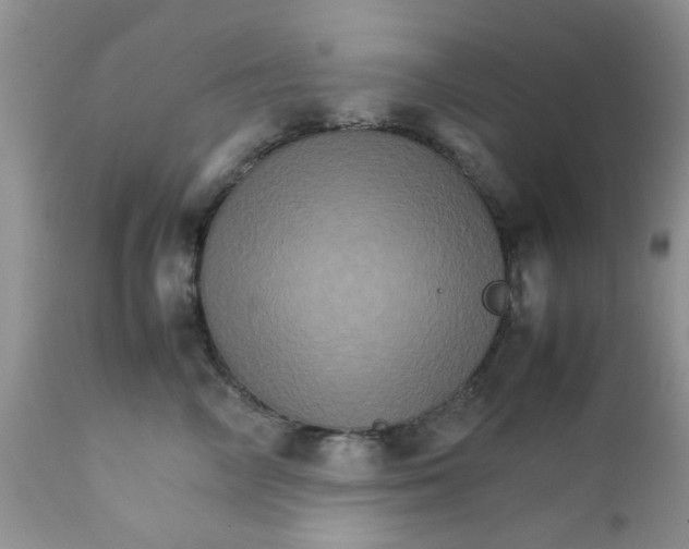 X0000111900714200908171239