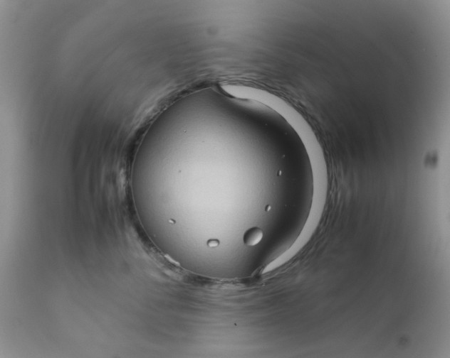 X0000111900716200908171239