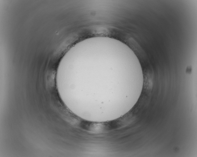 X0000111900717200908171239