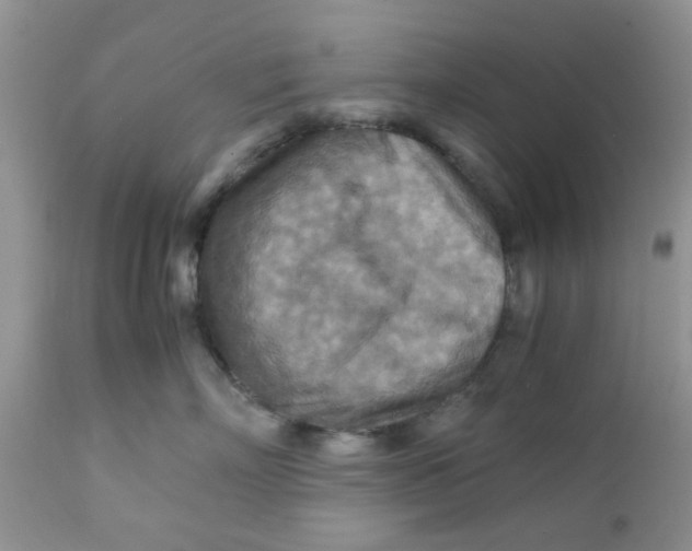 X0000111900718200908171239