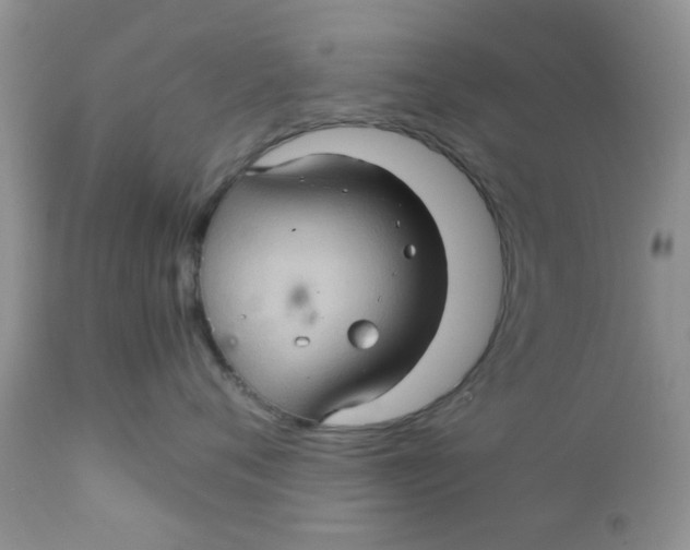 X0000111900720200908171238