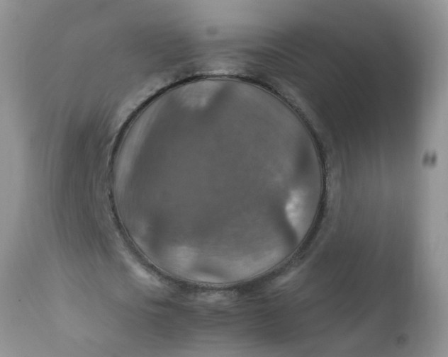 X0000111900721200908171238