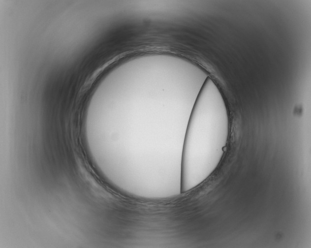 X0000111900722200908171238