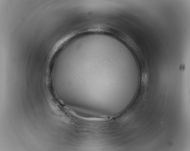 X0000111900724200908171238