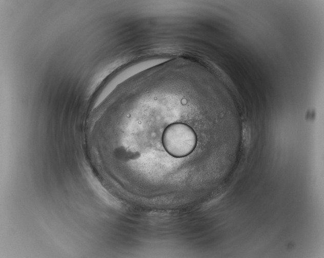 X0000111900725200908171238