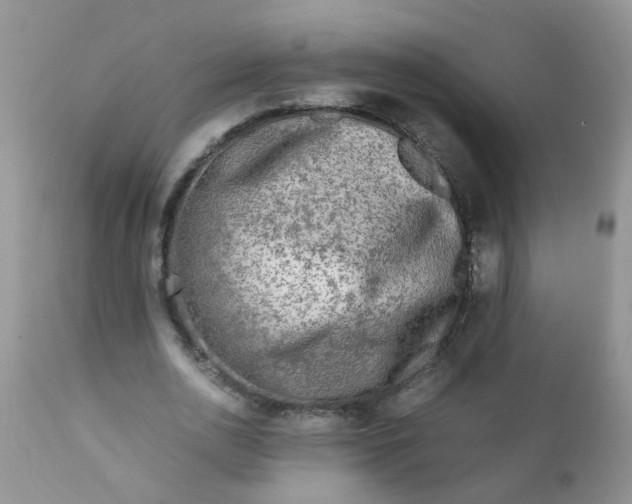 X0000111900726200908171238