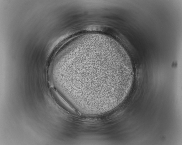 X0000111900727200908171238