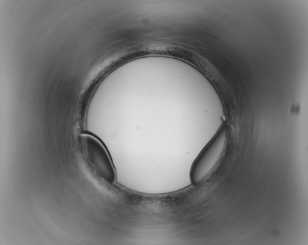 X0000111900728200908171238