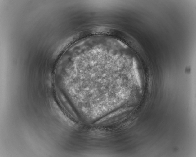 X0000111900729200908171238