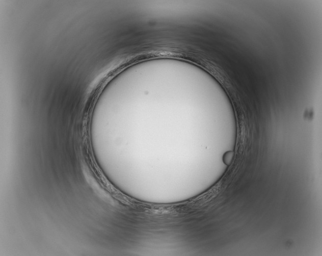 X0000111900730200908171238