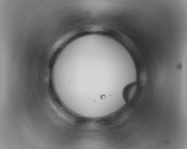 X0000111900732200908171238